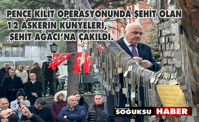 12 ŞEHİDİN KÜNYELERİ ŞEHİTLER AĞACINDA YERİNİ ALDI
