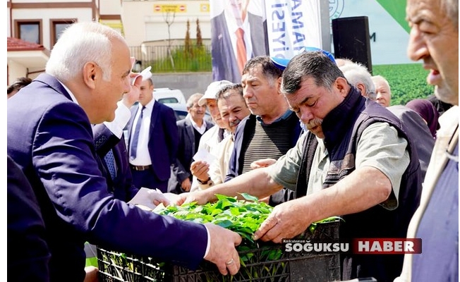 KIZILCAHAMAM'DA ÇİFTÇİLERE FİDE DAĞITIMI YAPILDI