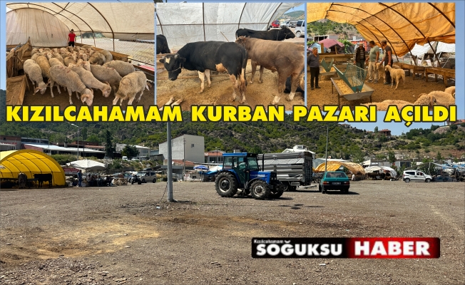 KURBANLIKLAR PAZARA İNDİ