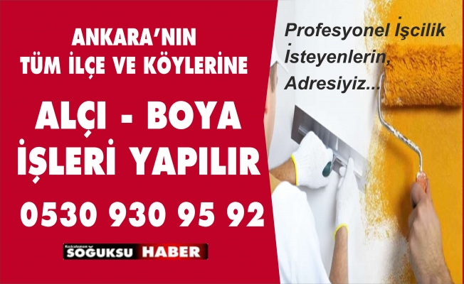 BOYA VE ALÇI İŞLERİNİZ İÇİN ARAYIN