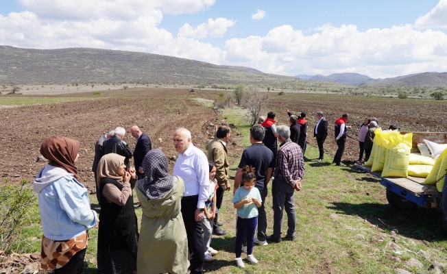 KARABUĞDAY KIZILCAHAMAM'DA FİLİZLENECEK
