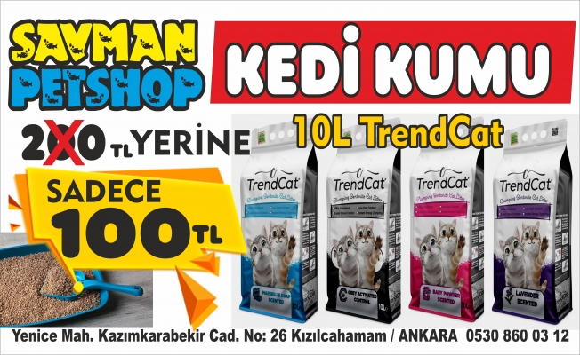 KEDİ KUMUNDA KAMPANYA