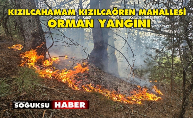 YILDIRIM DÜŞMESİ SONUCUNDA YANGIN MEYDANA GELDİ