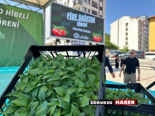 ÇİFTÇİYE FİDE DAĞITIMI YAPILDI