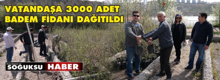 3000 FİDAN DAĞITILDI