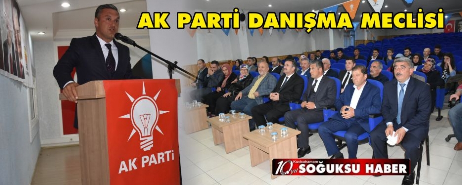 AK PARTİ DANIŞMA MECLİSİ