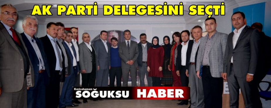 AK PARTİ DELEGE SEÇİMİNİ YAPTI