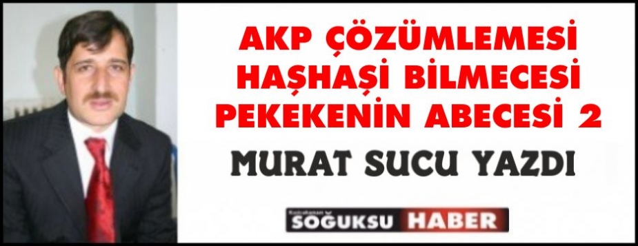 AKP ÇÖZÜMLEMESİ HAŞHAŞİ BİLMECESİ PEKEKENİNABECESİ 2