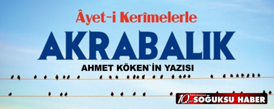  AKRABALIK BAĞLARI 