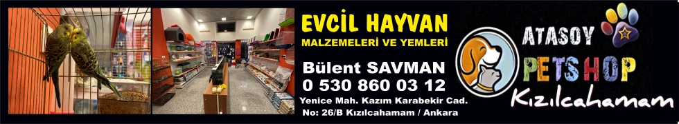ATASOY PETSHOP AÇILDI