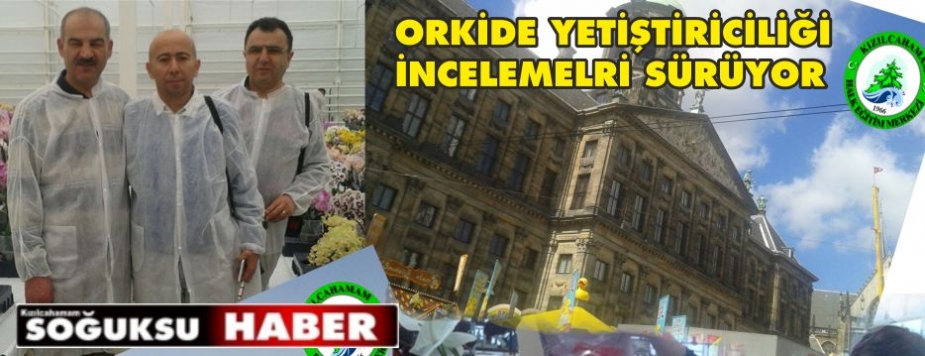 ÇEŞİT ÇEŞİT ORKİDE