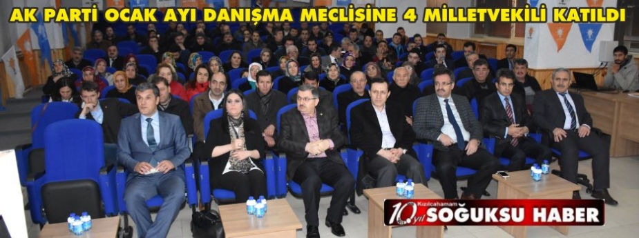 DANIŞMA MECLİSİNDE MİLLETVEKİLİ YOĞUNLUĞU