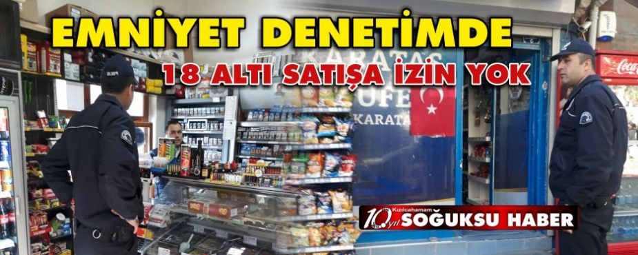 EMNİYET DENETİMDE