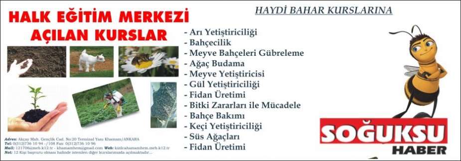 HALK EĞİTİM MERKEZİNDEN YANİ KURSLAR