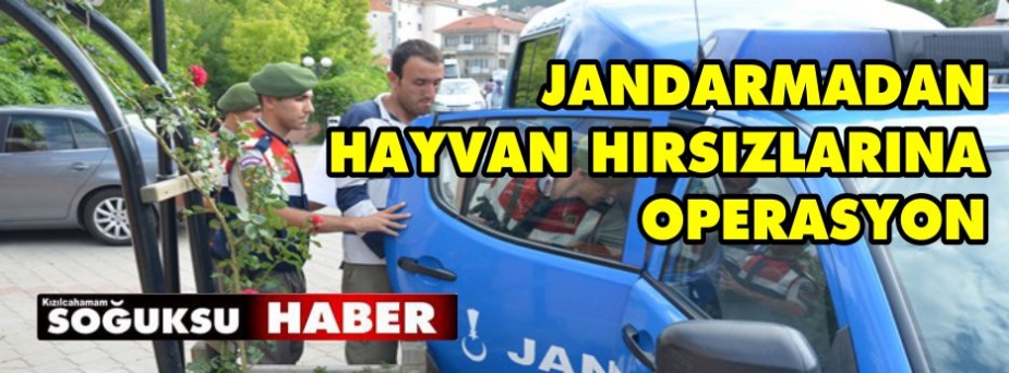 JANDARMADAN HAYVAN HIRSIZLARINA OPERASYON