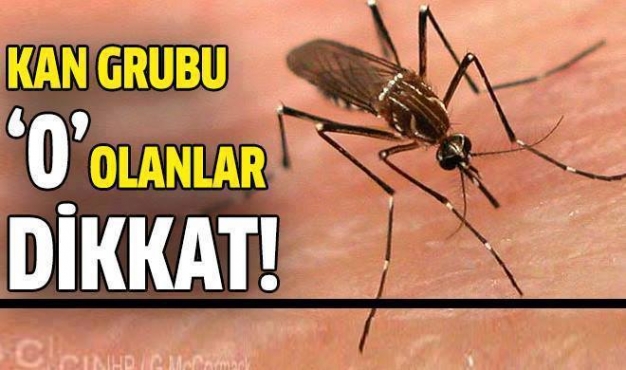 KAN GRUBU 0 OLANLAR DİKKAT