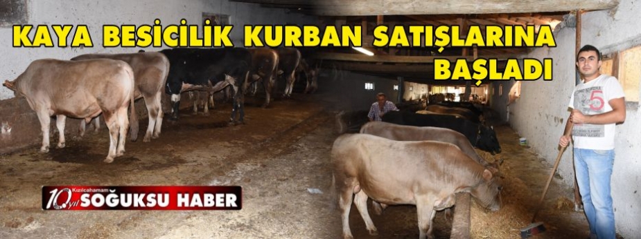  KAYA BESİCİLİK KURBAN SATIŞLARINA BAŞLADI.