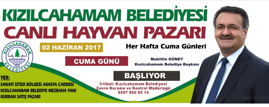  KIZILCAHAMAM’A CANLI HAYVAN PAZARI AÇILIYOR