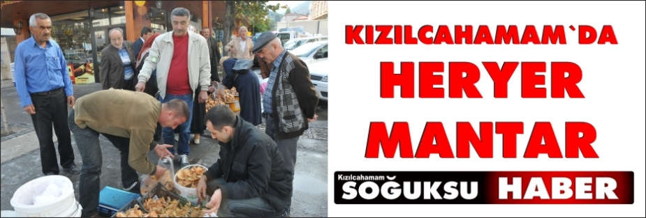 KIZILCAHAMAM'DA MANTAR BOLLUĞU