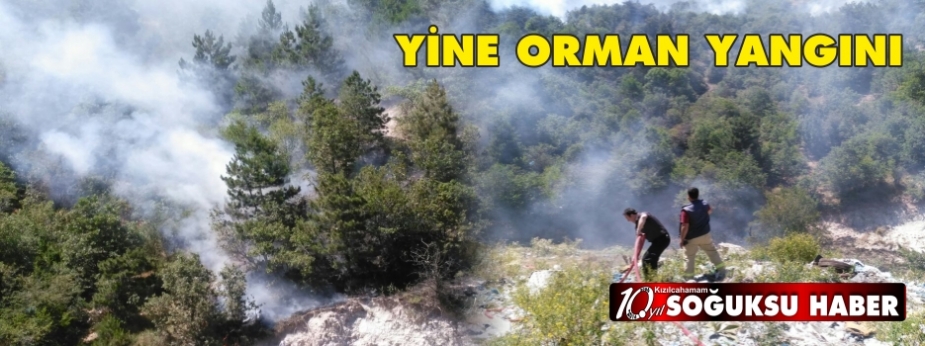  KIZILCAHAMAM'DA YİNE ORMAN YANGINI ÇIKTI.