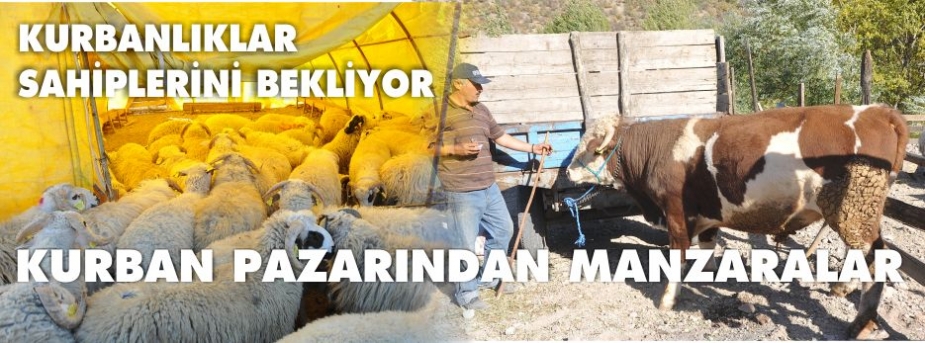 KURBANLIKLAR SAHİBİNİ BEKLİYOR