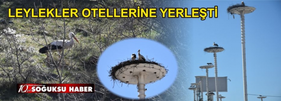 LEYLEKLER BAHARI MÜJDELEDİ