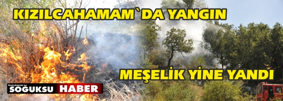 MEŞELİK YİNE YANDI