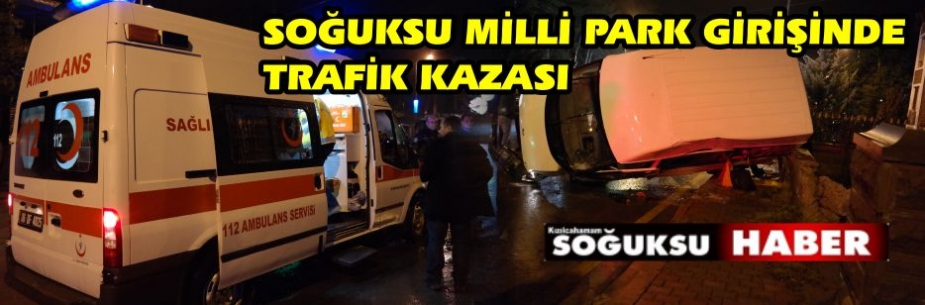 MİLLİ PARK GİRİŞİNDE TRAFİK KAZASI