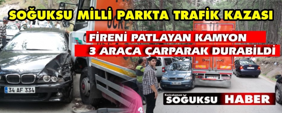 MİLLİ PARKTA FACİA TEET GEÇTİ