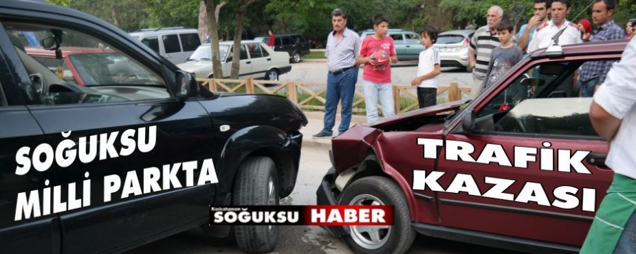 MİLLİ PARKTA KAZA