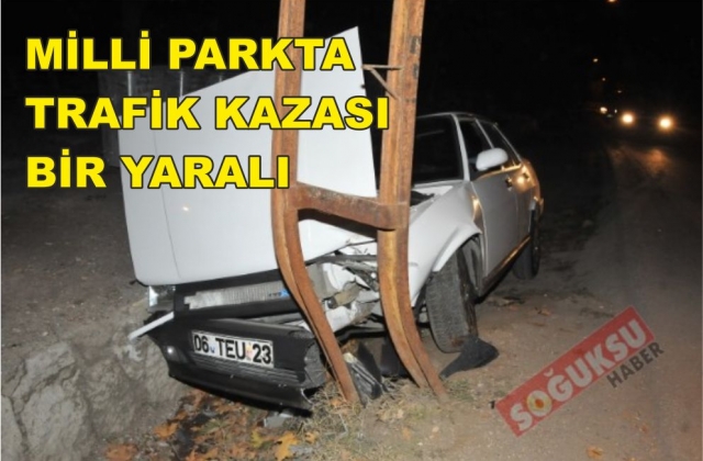 MİLLİ PARKTA TRAFİK KAZASI BİR YARALI