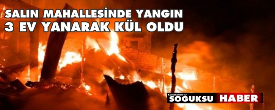 SALIN MAHALLESİNDE KORKUTAN YANGIN