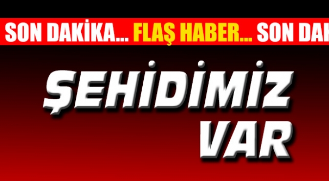 ŞEHİDİMİZ VAR