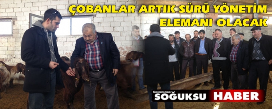 SÜRÜ YÖNETiMi ELEMANI KiMDiR?