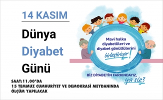 KIZILCAHAMAM'DA DİYABET ETKİNLİĞİ