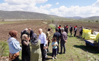 KARABUĞDAY KIZILCAHAMAM'DA FİLİZLENECEK