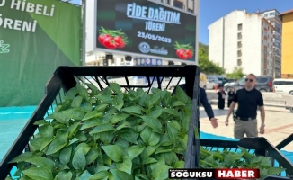 ÇİFTÇİYE FİDE DAĞITIMI YAPILDI