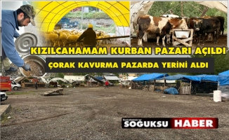 KIZILCAHAMAM'DA KURBAN PAZARI KURULDU