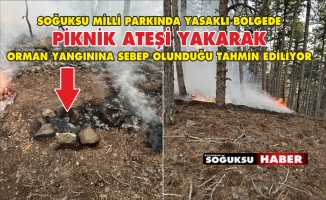 ORMAN YANGINI BÜYÜMEDEN SÖNDÜRÜLDÜ