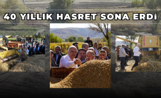 40 YIL ARADAN SONRA YENİDEN HASAT YAPILDI