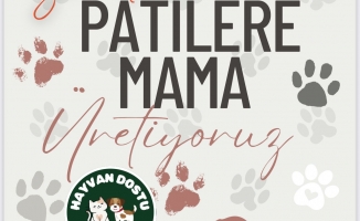 KIZILCAHAMAM’DA PATİLERE UMUT OLAN ÖRNEK UYGULAMA