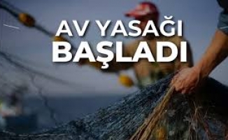 AV YASAĞI BAŞLADI