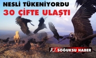 NESLİ TÜKENİYORDU 30 CİFTE ULAŞTI