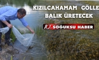 KIZILCAHAMAM  GÖLLERİNE 29 BİN BALIK