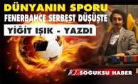 DÜNYANIN SPORU