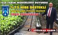 ÇİFTÇİLERİMİZE SEBZE FİDESİ DAĞITILACAK