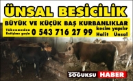 KURBANLIK SATIŞLARI BAŞLADI