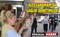 SAĞLIĞI İÇİN DENETLEDİLER