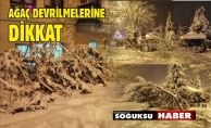 KAR YÜKLÜ AĞAÇLAR TEHLİKE YARATIYOR.
