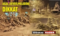 KAR YÜKLÜ AĞAÇLAR TEHLİKE YARATIYOR.